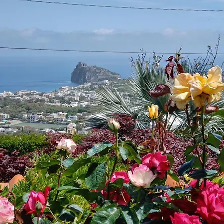 Apartament La Pergola *