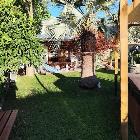 Apartment La Pergola Ischia